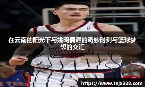 ballbet贝博bb艾弗森