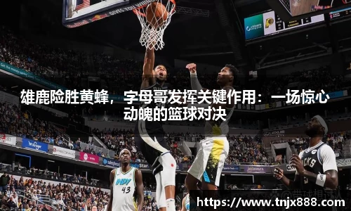 BB贝博艾弗森官方网站